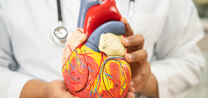 abo-seite-demo-09-m Kardiologie an der Paulikirche in Braunschweig